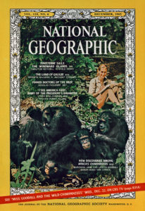 Dr. Jane Goodall on December 1965 cover of National Geographic magazine