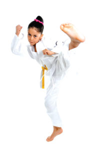 DC-area sports camps include options for karate